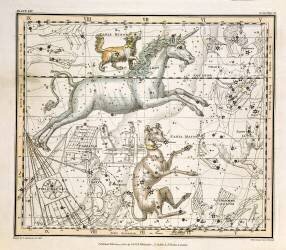 extrait d'un Atlas Céleste (Alexander Jamieson) - Muzeo.com