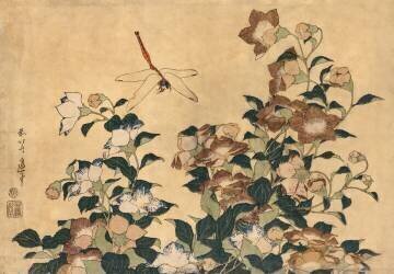 Fleur de Kikyo et libellule (Hokusai) - Muzeo.com