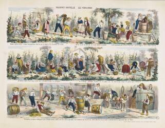 Imagerie nouvelle. Les vendanges (anonyme) - Muzeo.com