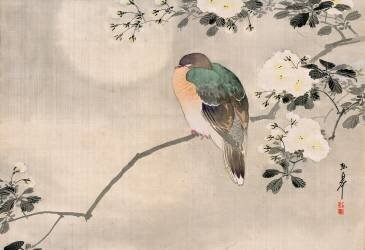 Japanese Silk Painting of a Wood Pigeon (anonyme) - Muzeo.com