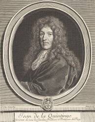 Jean de La Quintinie (Quintynie), intendant des jardins fruitiers et potagers du Roi (mort en 1700) (Gérard Edelinck) - Muzeo.com