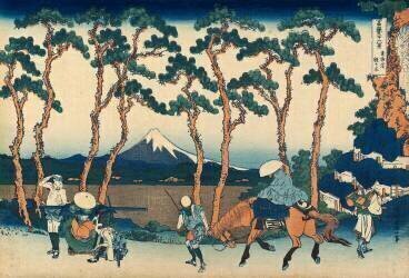 Le mont Fuji vu à travers les pins de Hodogaya sur le Tôkaidô (Hokusai) - Muzeo.com
