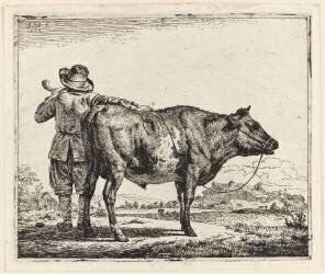 Le vacher et le taureau (Adriaen van de Velde) - Muzeo.com