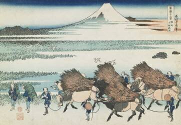 Les rizières de O no dans la province de Suruga (Hokusai) - Muzeo.com