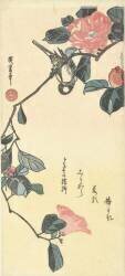 Oiseau et camélia (Hiroshige) - Muzeo.com