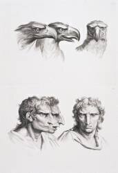 Planches 13 a et 13 b : trois têtes d'aigle et trois têtes d'hommes en relation avec l'aigle (Charles Le Brun) - Muzeo.com