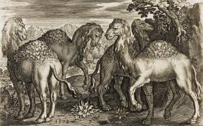 Quatre dromadaires dans un paysage (anonyme) - Muzeo.com
