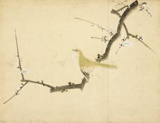 Rossignol sur une branche de prunier (Hokusai) - Muzeo.com