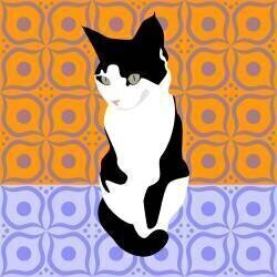 Chat sur les carreaux marocains (Claire Huntley) - Muzeo.com