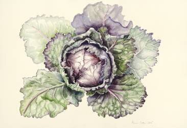 Chou du marché (Alison Cooper) - Muzeo.com