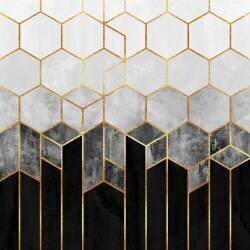 Hexagones de charbon de bois (Elisabeth Fredriksson) - Muzeo.com