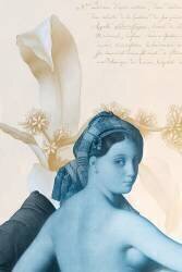 La grande Odalisque / Planche de Botanique (Studio Muzéo) - Muzeo.com