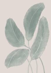 Leaves Watercolor (1x Studio II) - Muzeo.com