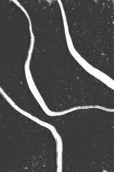 Lignes blanches (Anastasia Sawall) - Muzeo.com