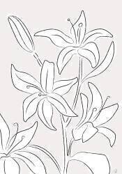 Lillies No 03 (1x Studio II) - Muzeo.com