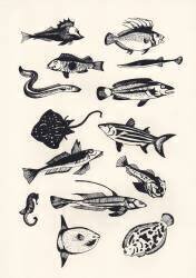 Monotone Plain Fish (Eliza Southwood) - Muzeo.com