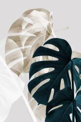 Monstera Creative 05 (1x Studio III) - Muzeo.com
