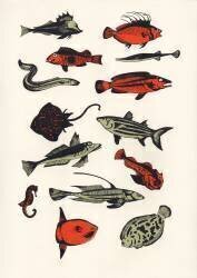 Orange Plain Fish (Eliza Southwood) - Muzeo.com