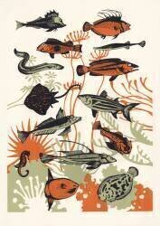 Orange Seaweed Fish (Eliza Southwood) - Muzeo.com