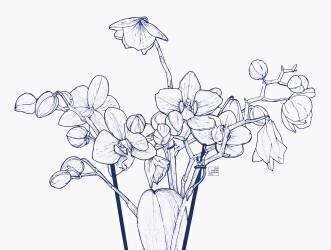 Orchidées (Léa Chounlamountry) - Muzeo.com