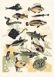 Peach Seaweed Fish (Eliza Southwood) - Muzeo.com