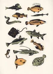 Plain Fish (Eliza Southwood) - Muzeo.com