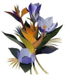 Sharp Flowers (Hiroyuki Izutsu) - Muzeo.com