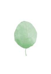Single Leaf (1x Studio) - Muzeo.com