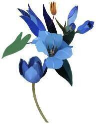Tulips and blue flowers (Hiroyuki Izutsu) - Muzeo.com