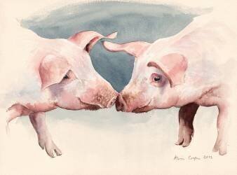 Two Little Piggies (Alison Cooper) - Muzeo.com