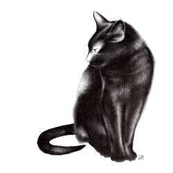 Un chat noir nommé Chiko (Léa Chounlamountry) - Muzeo.com
