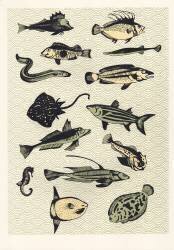 Yellow Japanese Fish (Eliza Southwood) - Muzeo.com