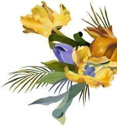 Yellow tulip (Hiroyuki Izutsu) - Muzeo.com