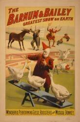 Affiche de Barnum et Bailey Circus (anonyme) - Muzeo.com