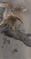 Aigle aux ailes déployées sur un tronc d'arbre (Ohara Koson) - Muzeo.com