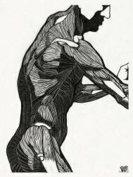 Anatomical study of a man's lateral and arm muscles (Reijer Stolk) - Muzeo.com