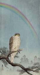 Autour des palombes sur un pin avec un arc-en-ciel au-dessus (Ohara Koson) - Muzeo.com