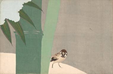 Bambou dans la neige (Kamisaka Sekka) - Muzeo.com
