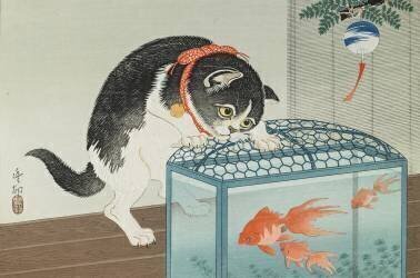 Chat et poisson rouge (Ohara Koson) - Muzeo.com