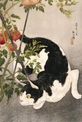 Chat rôdant autour d'un plant de tomates jalonnées (Takahashi Hiroaki) - Muzeo.com