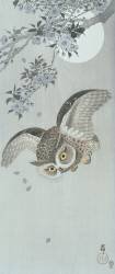Chouette en vol avec fleur et pleine lune (Ohara Koson) - Muzeo.com