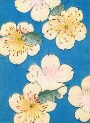 Colour woodblock print of Dogwood Blossoms (anonyme) - Muzeo.com