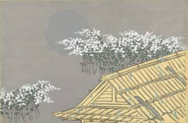 Des fleurs blanches à la maison (Kamisaka Sekka) - Muzeo.com