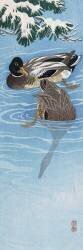 Deux canards sauvages dans l'eau (Ohara Koson) - Muzeo.com