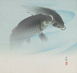 Deux carpes (Ohara Koson) - Muzeo.com