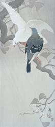 Deux colombes sous la pluie sur une branche de Ginko (Ohara Koson) - Muzeo.com