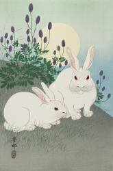 Deux lapins blancs sous la pleine lune (Ohara Koson) - Muzeo.com