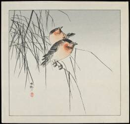 Deux oiseaux sur des roseaux (Ohara Koson) - Muzeo.com