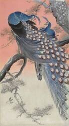 Deux paons sur une branche d'arbre (Ohara Koson) - Muzeo.com