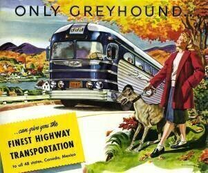 Entraîneur longue distance Greyhound (anonyme) - Muzeo.com